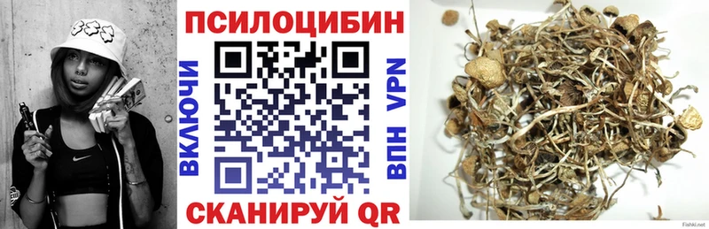 Галлюциногенные грибы Cubensis  Коркино 